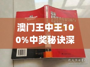 澳门和香港和香港门和香港王中王100%期期中,精选解析、落实与策略