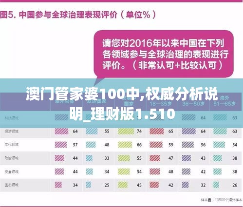 澳门管家婆100%，和平解答、深入解释与未来展望