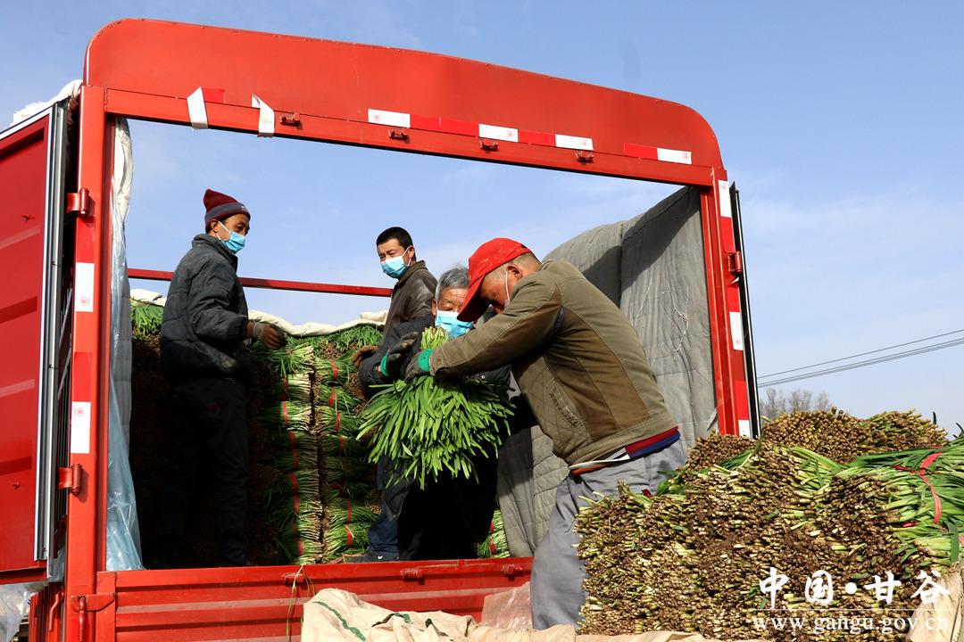 最新型蔬菜，改变我们的餐桌与生活方式