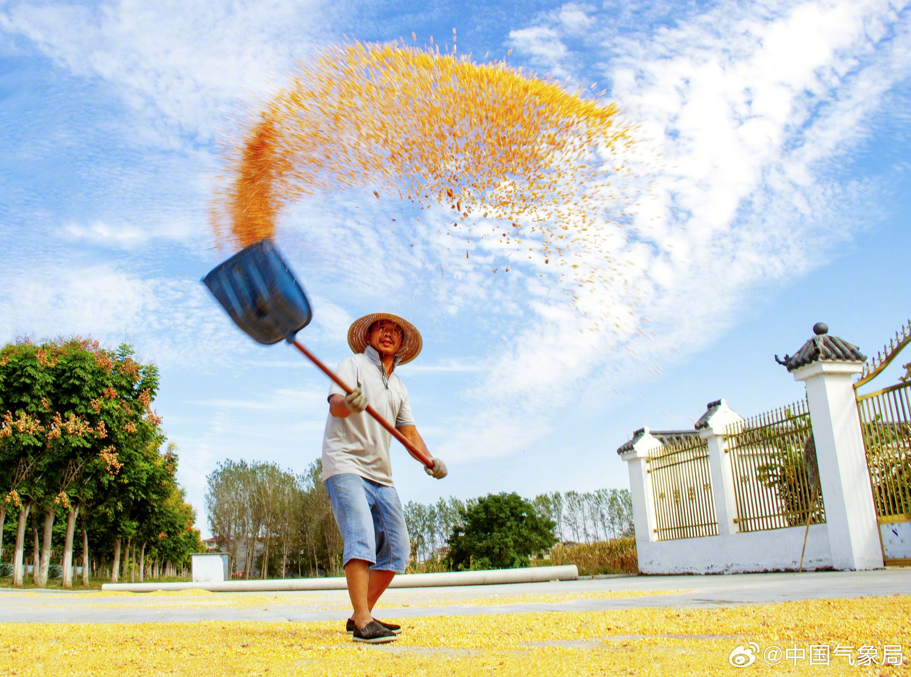 秋收最新消息，丰收的季节带来的新动态与前景展望