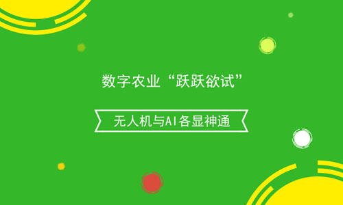 谷豆最新更新，引领数字农业的新篇章